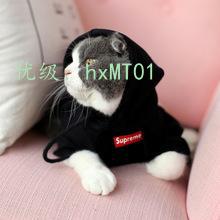 Ҿ