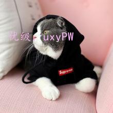 Ҿ