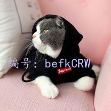 ȼ